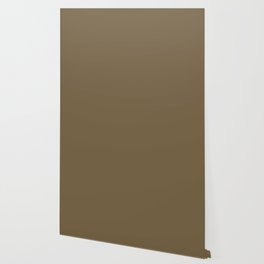 Dark Brown Solid Color Pairs PPG Olive Wood PPG1097-7 - All One Single Shade Hue Colour Wallpaper