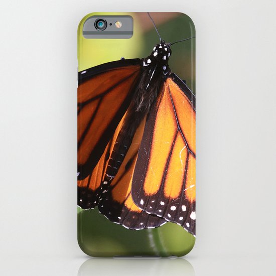 Monarch Butterfly iPhone & iPod Case