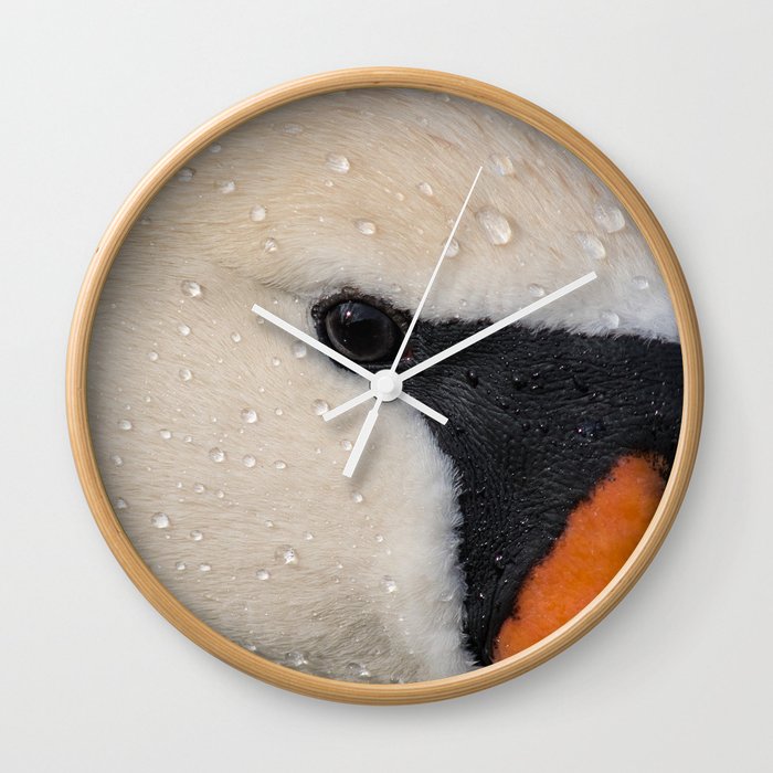 Mute Swan in Winter - CloseUp Wall Clock