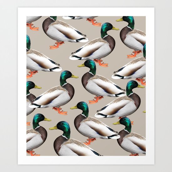 Mallards #society6 #decor #buyart Art Print