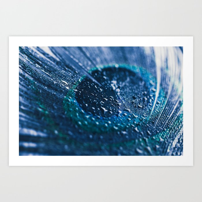 Peacock Feather Macro Waterdrops Art Print