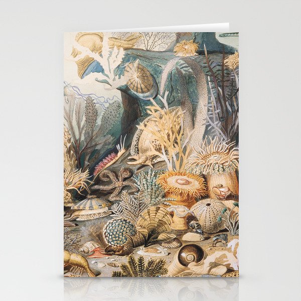 Ocean Life by James M. Sommerville Stationery Cards
