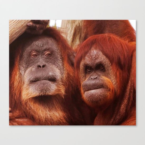 Family Portrait Canvas Print