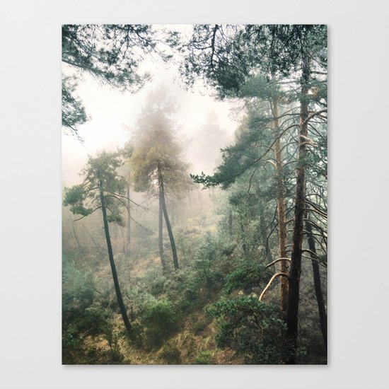 "Into the woods". Wandering into the fog Canvas Print