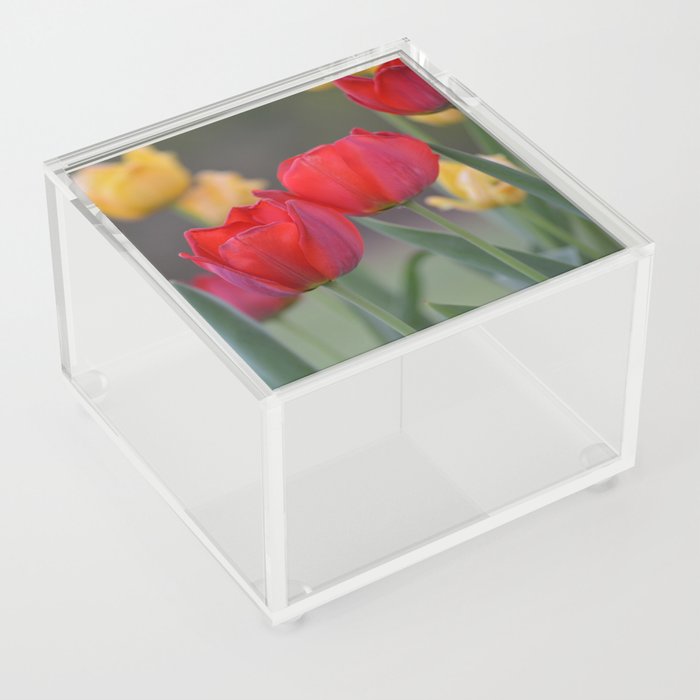 tulips Acrylic Box
