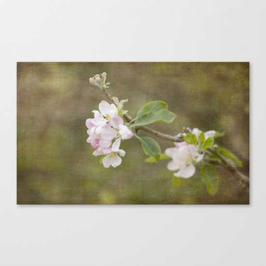 Spring Delight Canvas Print