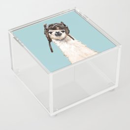 Cool Pilot Llama in Blue Acrylic Box