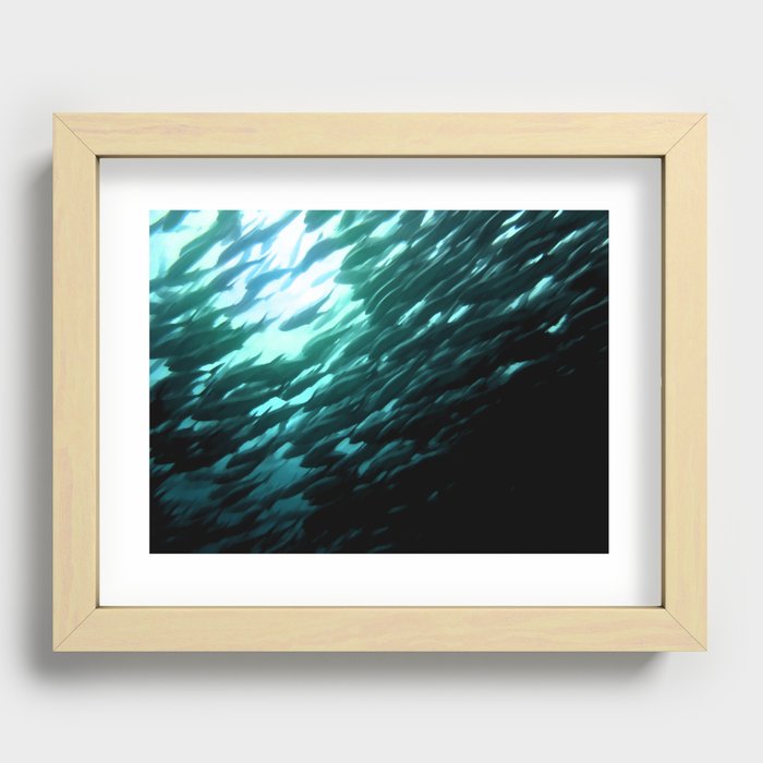 Thousands of jack fish Recessed Framed Print