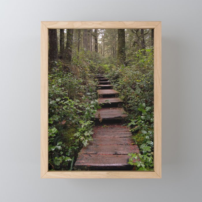 Take a Walk Framed Mini Art Print