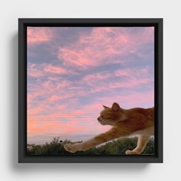 lazy cat Framed Canvas