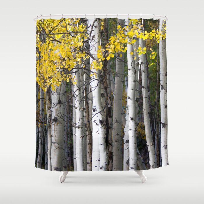 Yellow Black And White Aspen Trees In Crested Butte Shower Curtain By The Blonde Dutch Girl Society6