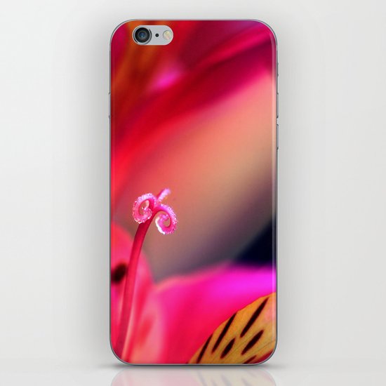 Myriad of Colours iPhone & iPod Skin