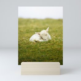 Sleeping lamb Mini Art Print