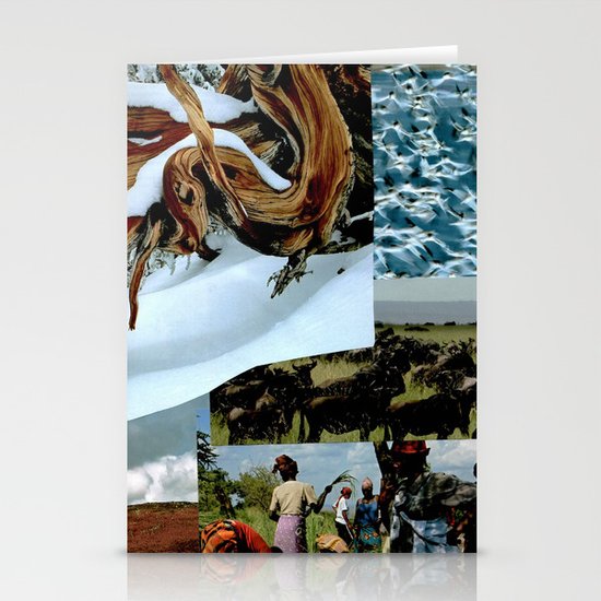 14 Stationery Cards