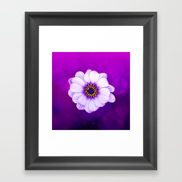 Purple Framed Art Print