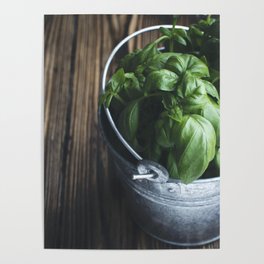 Basil in a bucket Poster