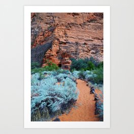 canyon walk Art Print