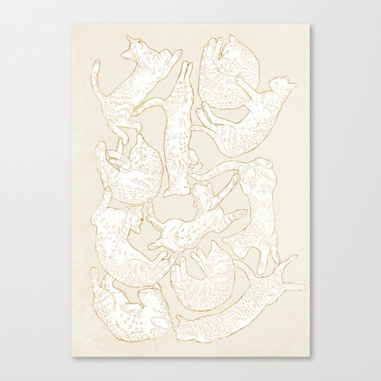 Eleven Sleepy Cat Canvas Print