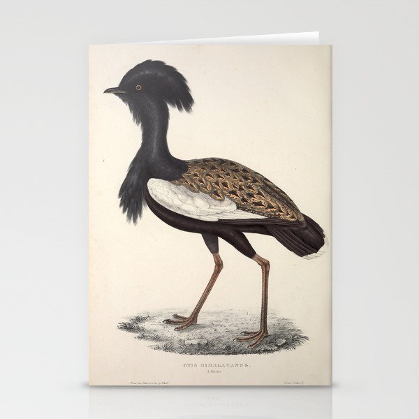 Himalayan bustard by Elizabeth Gould from "A Century of Birds from the Himalaya Mountains," 1831 Stationery Cards