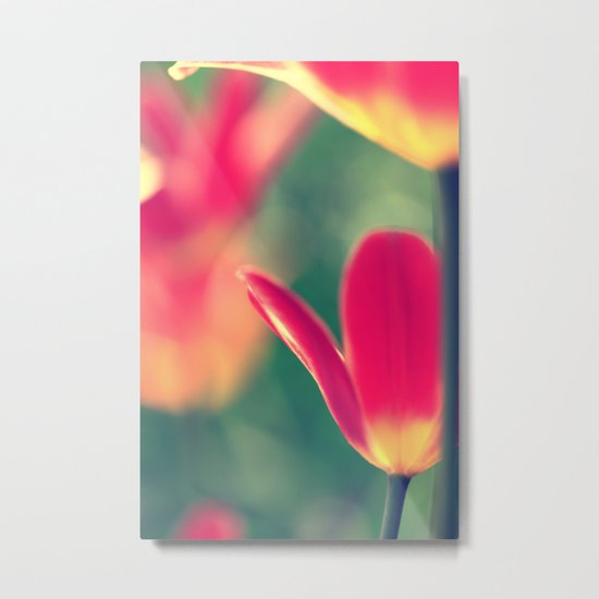 tulips Metal Print