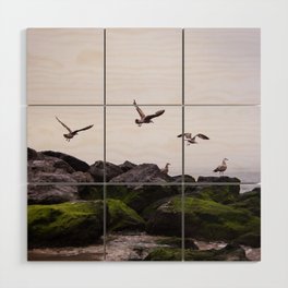 Beach Birds in Flight Wood Wall Art