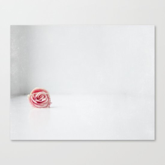 pink flower Canvas Print