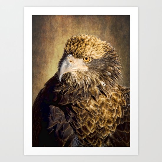 Fine Feathered Friend Art Print