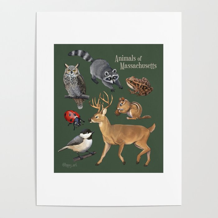 Animals of Massachusetts Poster