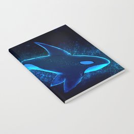 Cosmic orca Notebook