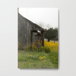 Slave Cabins with Yellow Wildflowers Metal Print
