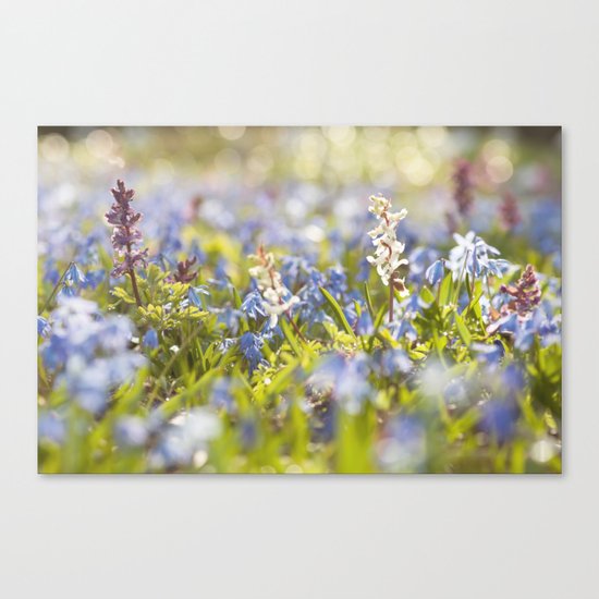 Spring flower meadow - Colorful flowers -floral on #Society6 Canvas Print