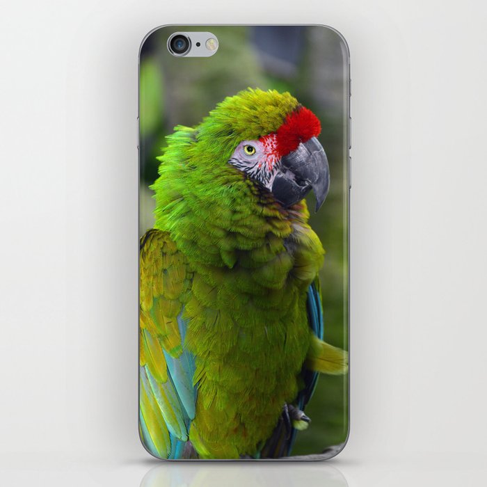 Military Macaw iPhone Skin