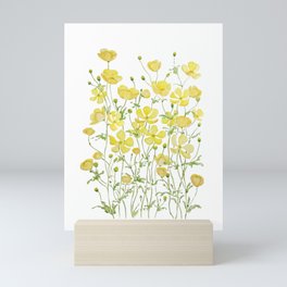 yellow buttercup flowers filed watercolor  Mini Art Print