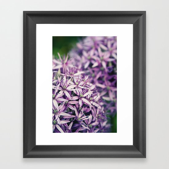 Vintage Purple Poppies Framed Art Print