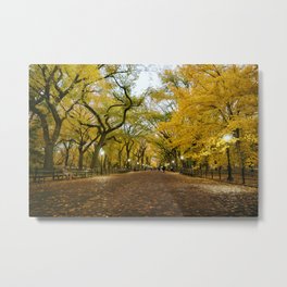 Central Park New York City Metal Print | Ny, Centralpark, Vintage, Nature, Autumnleaves, Nyc, Color, Foliage, Autumn, Digital Manipulation 