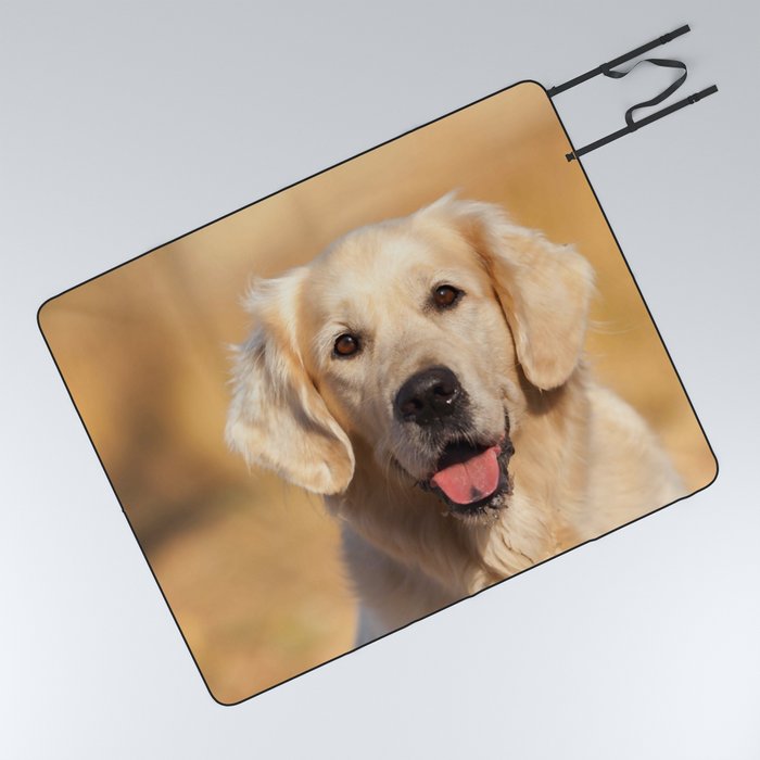 Dog picnic sale blanket