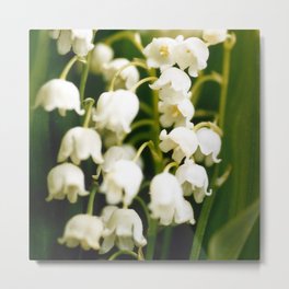 Lilies of the Valley Metal Print | Lilyofthevalley, Retro, Whiteflowers, Herbs, Spring, Botanical, Flowers, Lillies, Vintage, Plants 