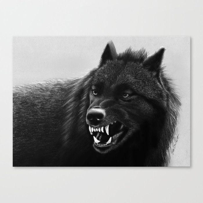 Growling Black Wolf Canvas Print By Jasminasusakprints Society6