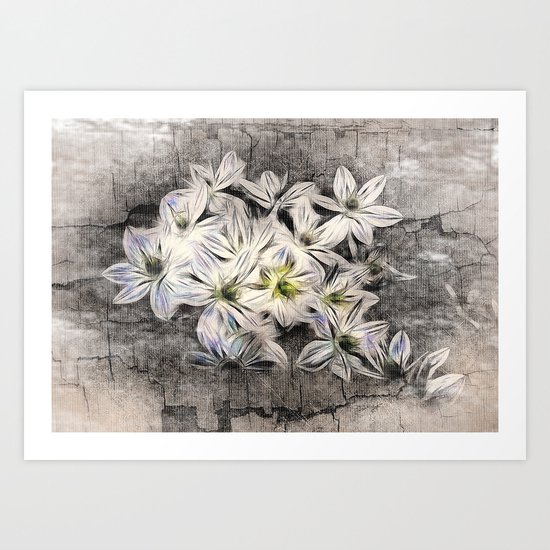 Allium Greys Art Print