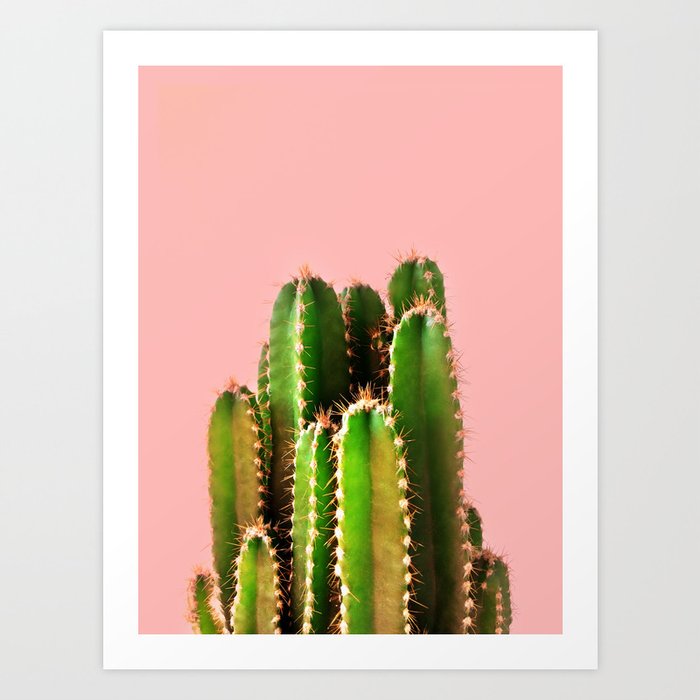 It's Cactus Time Art Print by cafelab | Society6