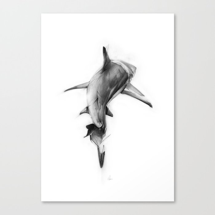 Shark II Canvas Print