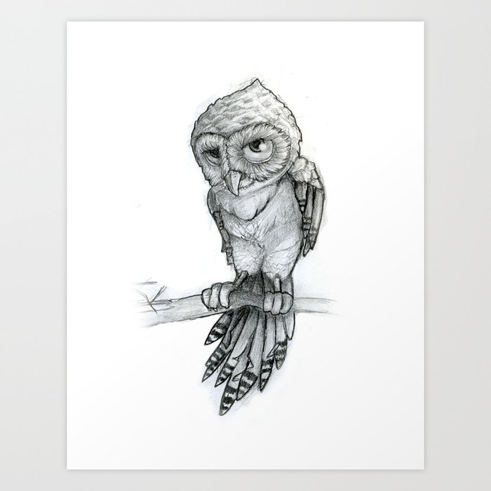 owl sketched Art Print
