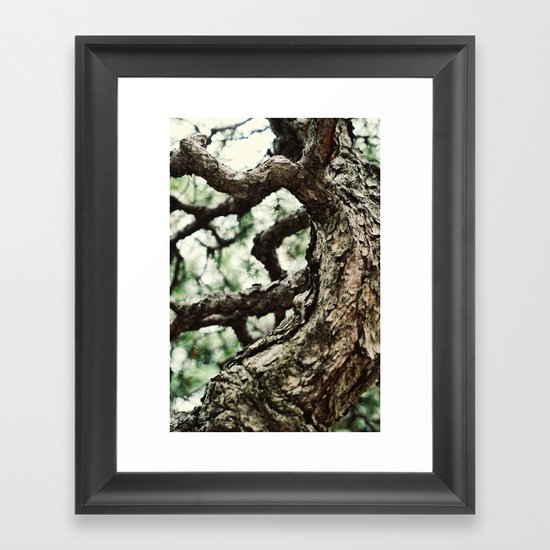Bonzai Baby Framed Art Print