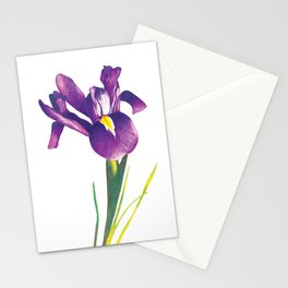 Iris Stationery Cards