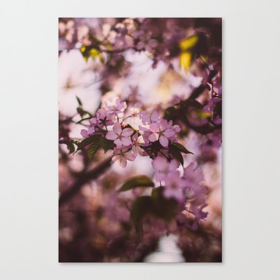 Beauty of Spring III Canvas Print