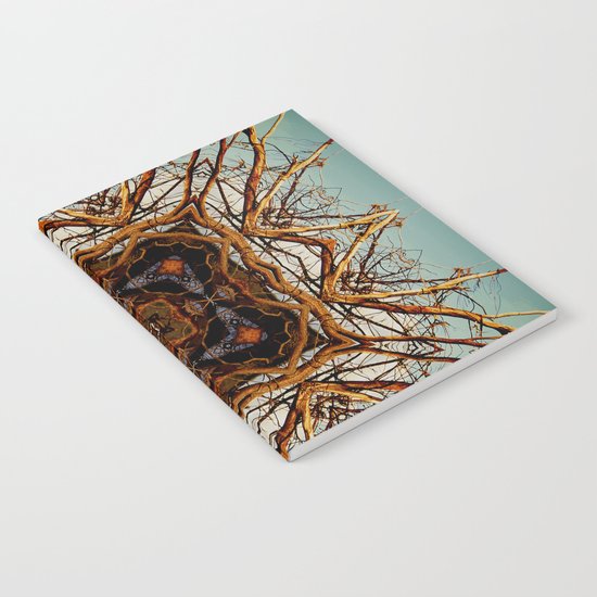 The Square Root Notebook