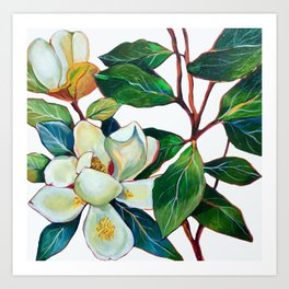 Magnolia Branch Art Print