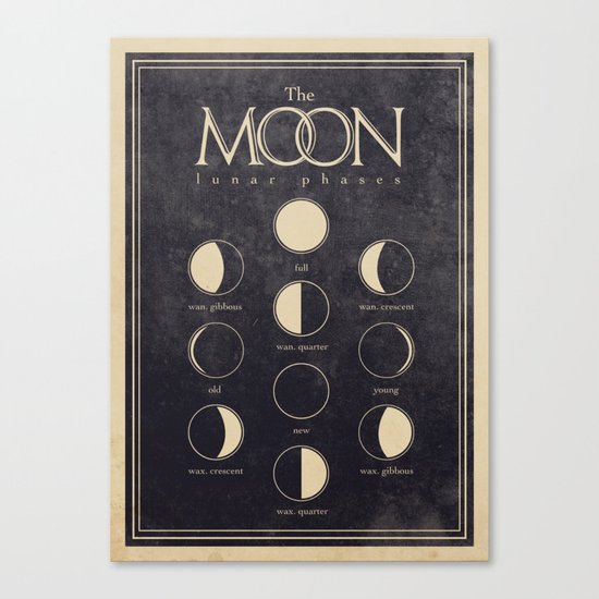 Lunar Phases Moon Cycles Canvas Print
