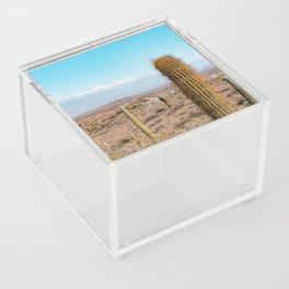 Cactus Acrylic Box