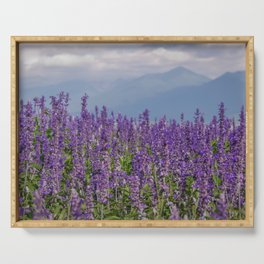 Lavender Field Serving Tray